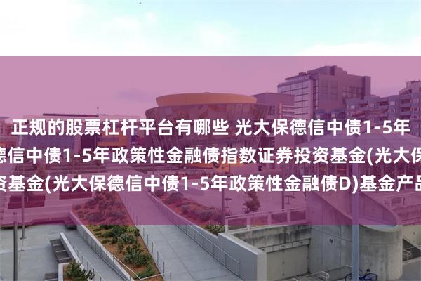 正规的股票杠杆平台有哪些 光大保德信中债1-5年政金债指数D: 光大保德信中债1-5年政策性金融债指数证券投资基金(光大保德信中债1-5年政策性金融债D)基金产品资料概要更新