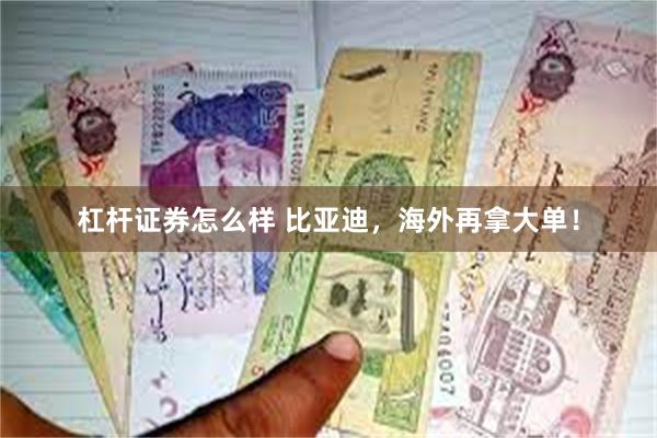 杠杆证券怎么样 比亚迪，海外再拿大单！