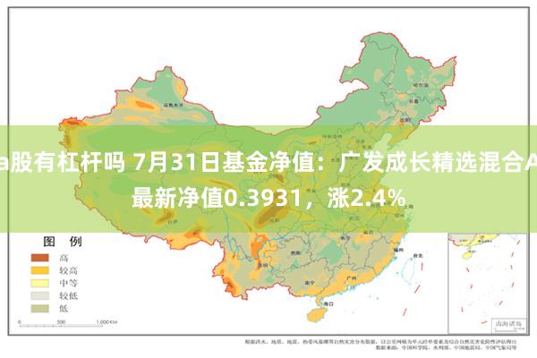 a股有杠杆吗 7月31日基金净值：广发成长精选混合A最新净值0.3931，涨2.4%