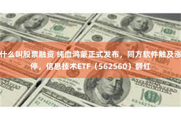 什么叫股票融资 纯血鸿蒙正式发布，同方软件触及涨停，信息技术ETF（562560）翻红