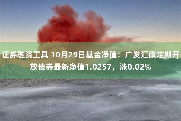 证券融资工具 10月29日基金净值：广发汇康定期开放债券最新净值1.0257，涨0.02%