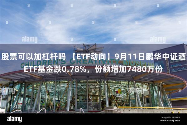 股票可以加杠杆吗 【ETF动向】9月11日鹏华中证酒ETF基金跌0.78%，份额增加7480万份