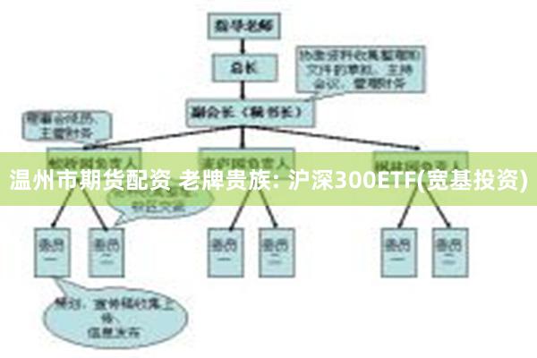 温州市期货配资 老牌贵族: 沪深300ETF(宽基投资)