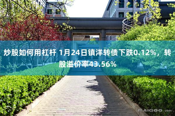 炒股如何用杠杆 1月24日镇洋转债下跌0.12%，转股溢价率43.56%