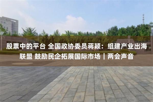 股票中的平台 全国政协委员蒋颖：组建产业出海联盟 鼓励民企拓展国际市场｜两会声音